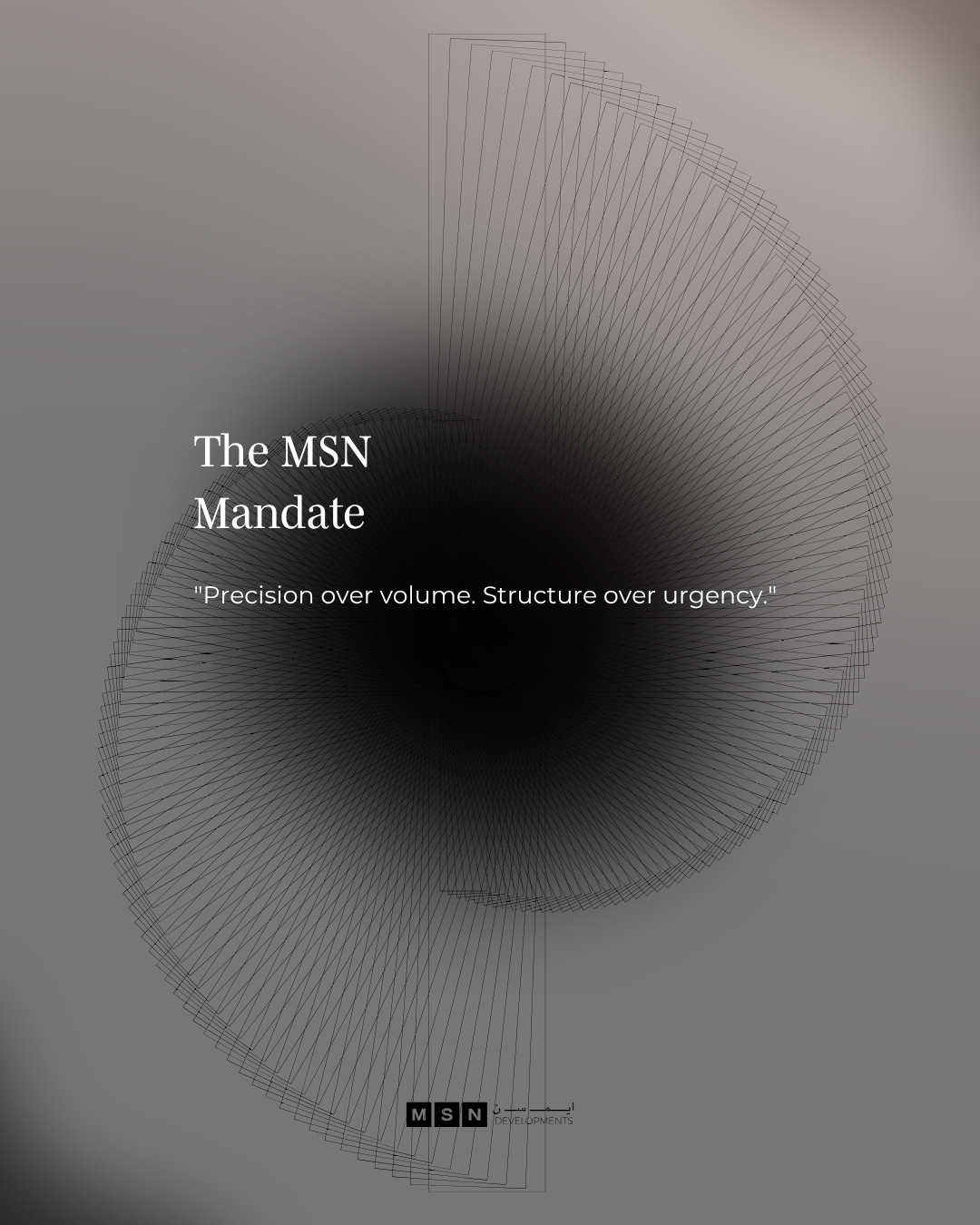 MSN Social Media Campaign 2